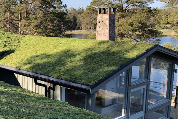 SEDUMDACH traditionell