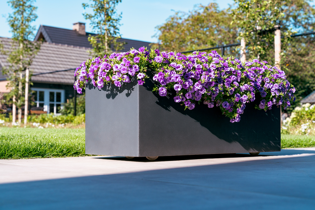 CARREZ mit Rädern - Fiberglass 